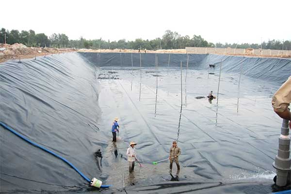 Ao nổi lót bạt HDPE cùng rốn xả xi-phông giải pháp chủ động phòng ngừa dịch bệnh