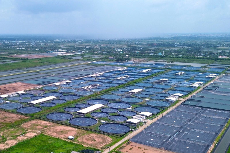Cà Mau kỳ vọng bước chuyển mới từ dự án nuôi thủy sản công nghệ cao 5.300 tỷ đồng