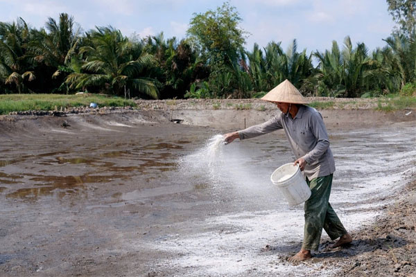 “Căng mình” giữ vuông tôm mùa nắng nóng