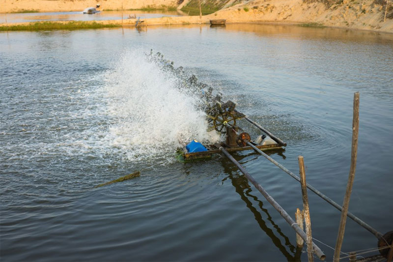Độ cứng của nước trong ao tôm