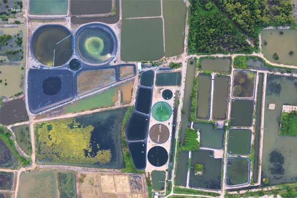 Ngành thủy sản và động lực tăng trưởng mới sau 67 năm