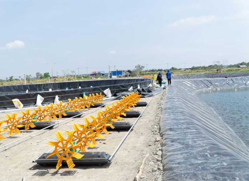 nhot-bat-ao-nuoi-tom-nguyen-nhan-va-cach-xu-ly