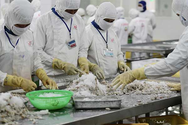 Vượt Mỹ và Nhật Bản, Trung Quốc trở thành thị trường thủy sản số 1 của Việt Nam