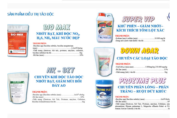 Giải pháp xử lý điều trị các bệnh trên ao nuôi tôm thẻ