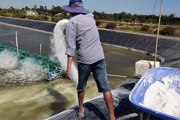 Vì sao không nên nhầm lẫn giữa vôi nông nghiệp và vôi công nghiệp