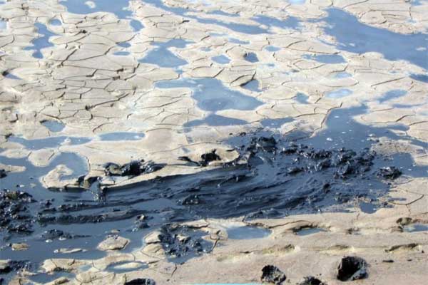 Xử lý mùn bã hữu cơ đáy ao trong nuôi tôm giữa vụ