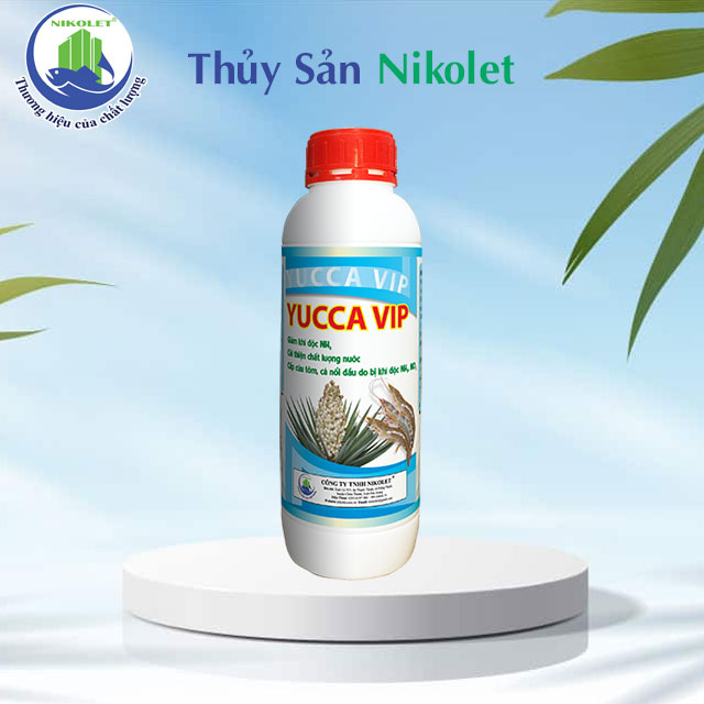 YUCCA VIP