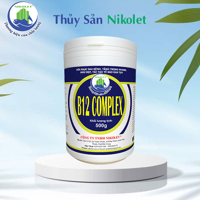 B12 COMPLEX