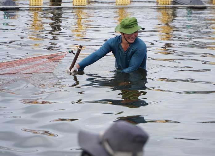 bien-phap-dam-bao-an-toan-cho-ao-nuoi-tom-trong-dip-tet-nguyen-dan