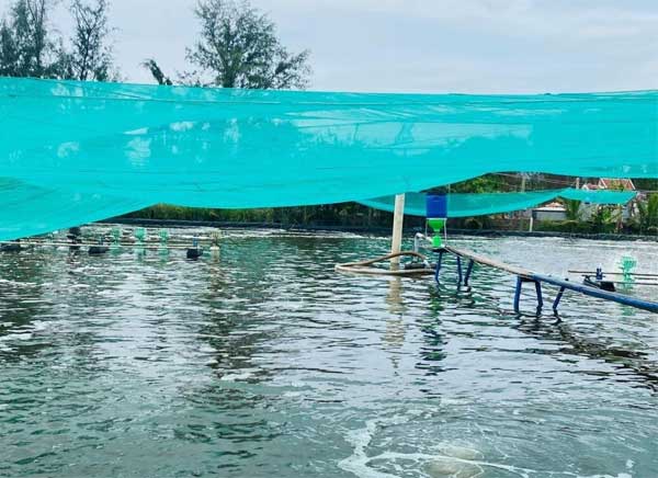 cac-bien-phap-phong-tri-benh-thuy-san-nuoi-trong-mua-mua-bao