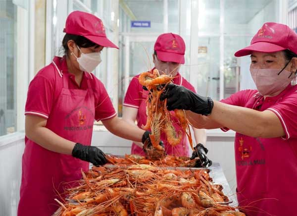 kho-tom-cang-san-pham-doc-dao-sang-tao