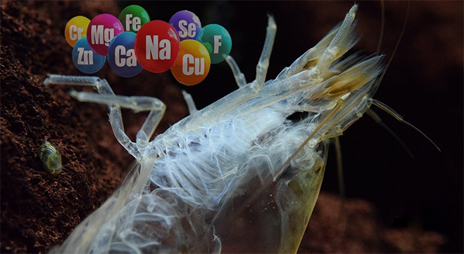 khoang vi luong cho tom the chan trang