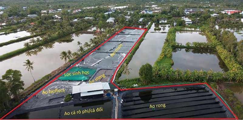 kinh-te-tuan-hoan-chuyen-doi-xanh-voi-nganh-tom