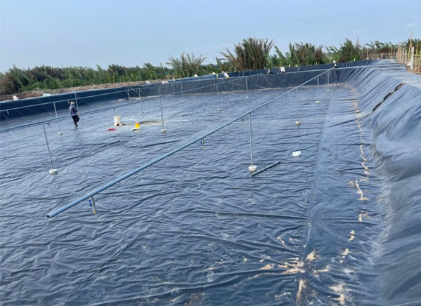 luu-y-khi-nuoi-tom-lot-bat