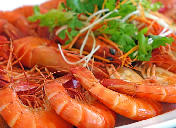 Dieu-tri-benh-tom-02936297986, nhung-bo-phan-cua-tom-nen-bo-khi-an