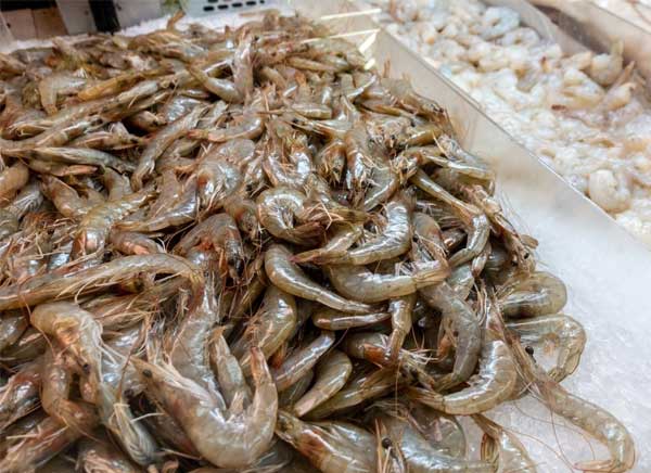 nhung-thong-so-bat-buoc-phai-biet-tren-nhan-mac-thuy-san-dong-goi