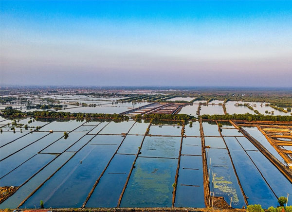 nuoi-trong-thuy-san-ben-vung-voi-5-giai-phap