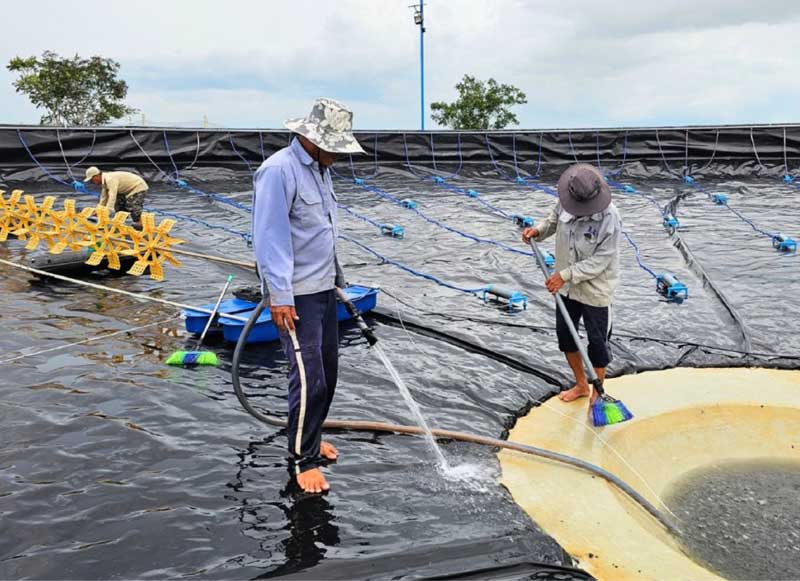 sai-lam-thuong-gap-khi-phoi-day-ao