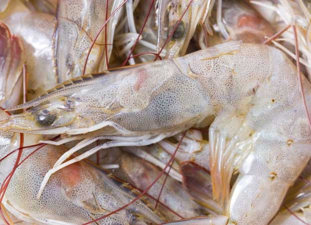 thuy-san-viet-nam-lot-top-5-nha-cung-cap-lon-nhat-cho-thuy-sy