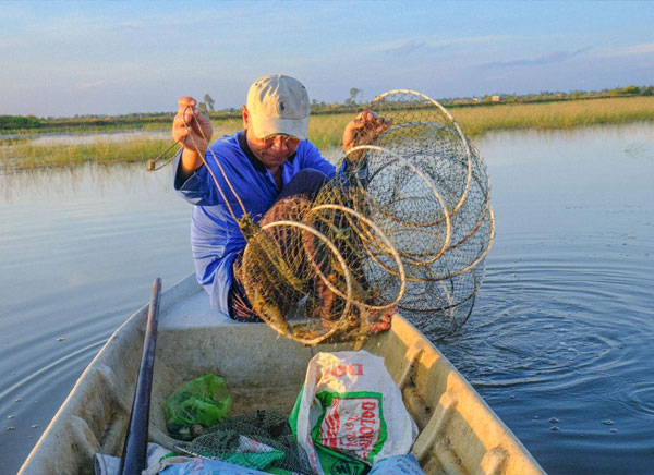 tom-lua-2-0-nang-cap-mo-hinh-truyen-thong-de-ban-gia-chuan-au