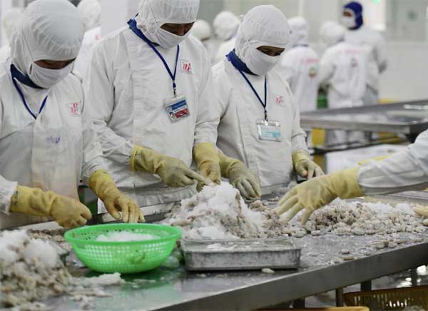 vuot-my-va-nhat-ban-trung-quoc-tro-thanh-thi-truong-thuy-san-so-1-cua-viet-nam