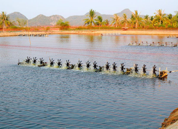 xac-dinh-khung-gio-tom-an-manh-nhat-de-giam-he-so-fcr