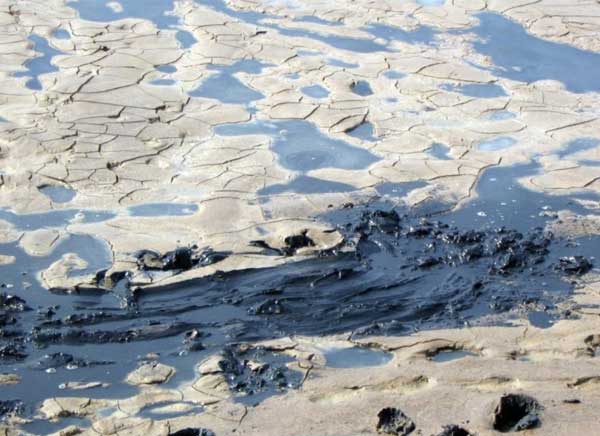 xu-ly-mun-ba-huu-co-day-ao-trong-nuoi-tom-giua-vu